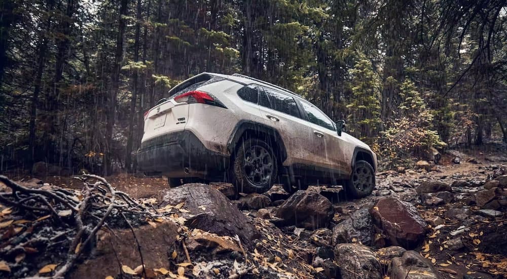 A white 2022 Toyota RAV4 TRD Off-Road is shown from the rear at an angle.