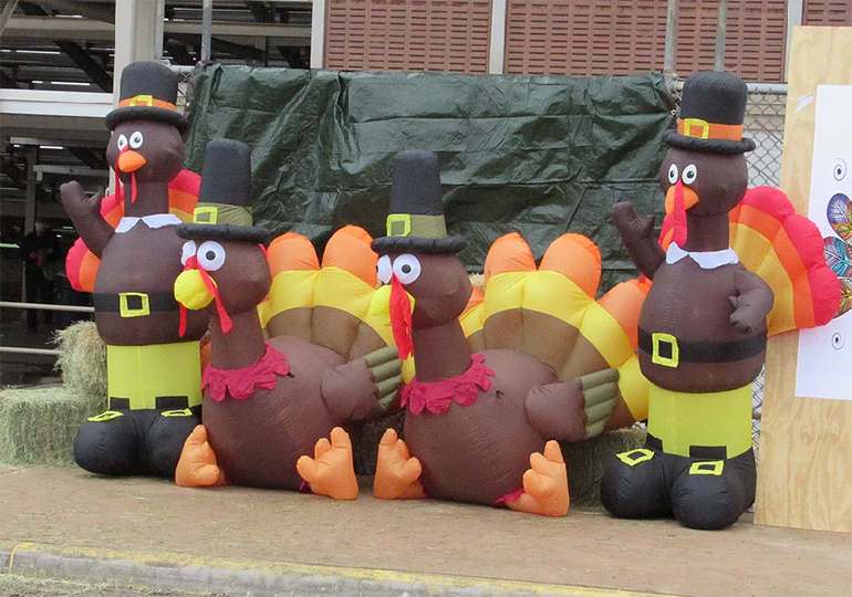 Four Large Inflatable Turkeys Lined Up on the Sidewalk